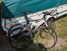 Quintana roo seduza for sale  TADLEY