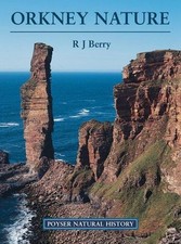 Orkney nature berry for sale  ROSSENDALE