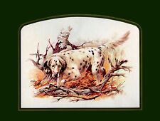 English setter gun for sale  UK