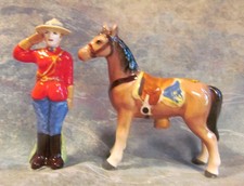 Canadian mountie horse for sale  Winchester