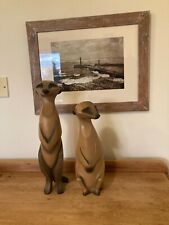Meerkat for sale  UK