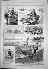 Viagens antigas com rede de arrasto profissional pescadores dia rede de tiro 1892 vitoriana comprar usado  Enviando para Brazil