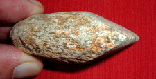 Choice sahara neolithic for sale  La Junta