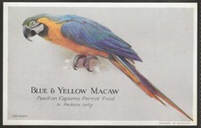 Capern cage birds for sale  COLNE