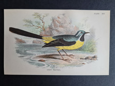 Antique print grey for sale  ROMFORD