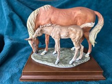 Kaiser thoroughbred mare for sale  ASHFORD