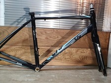 50cm giant liv for sale  NEWTON ABBOT