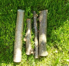 Haselnuss holz äste gebraucht kaufen  Deutschland