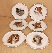 Dog plates set for sale  Clovis