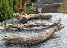 38cm driftwood branch for sale  CLACTON-ON-SEA