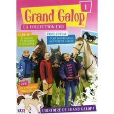 Dvd grand galop d'occasion  Les Mureaux