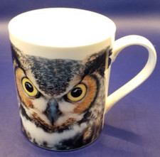 Owl face mug for sale Owl face mug for sale  WORCESTER