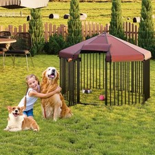 Outdoor dog kennel for sale  Ashford