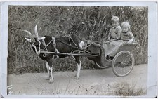 Rppc adorable kids for sale  Tucson