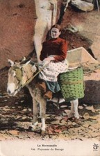 Cpa animee 1919 d'occasion  Nîmes