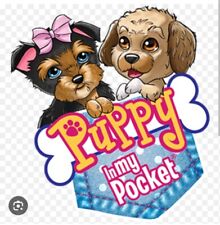 Puppy kitties ponies for sale  LLANFAIRFECHAN
