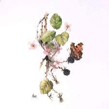 Bramble butterfly art for sale  CARDIFF