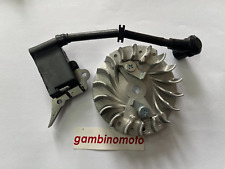 Bobina volano motosega usato  Ravanusa