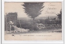 Saint reverien taille d'occasion  France