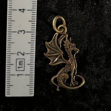 Drache schmuck anhänger gebraucht kaufen  Neukirchen b.Sulzbach-Rosenberg