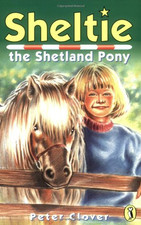 Sheltie sheltie shetland for sale  ROSSENDALE