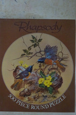Arrow rhapsody 500piece for sale  BARNSTAPLE