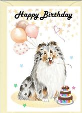 Shetland sheepdog sheltie for sale  YEOVIL