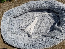 xxxl dog bed for sale xxxl dog bed for sale CHESHAM