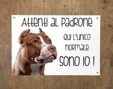 Pitbull attenti padrone usato  Due Carrare