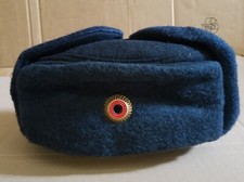 Deutsche reichsbahn wintermüt gebraucht kaufen  Deutschland