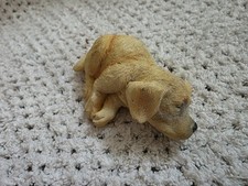 labrador for sale  COLNE