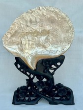 mother pearl shell for sale mother pearl shell for sale FELIXSTOWE