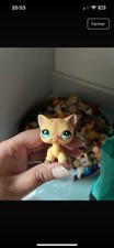 Lps 886 littlest d'occasion  Arnage