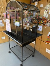 Parrot supplies boston gebraucht kaufen  Versand nach Germany