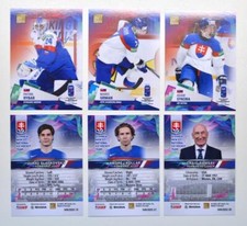 2022 BY cards IIHF Mistrzostwa Świata Drużyna Słowacja Wybierz kartę, używany na sprzedaż  Wysyłka do Poland