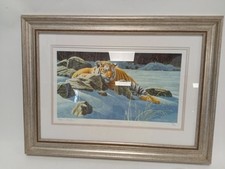 limited edition tiger prints for sale limited edition tiger prints for sale RUGBY