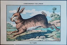 Enseignement image lapin d'occasion  Paris XV