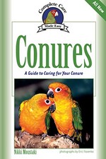 Conures guide caring for sale Conures guide caring for sale  UK