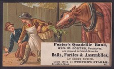 trade horse for sale  Hartford