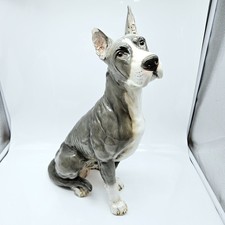 Goebel great dane for sale  Westminster
