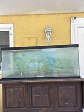Fish reptile rank for sale  Tampa