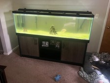 Fish tank aqueon for sale  Webster