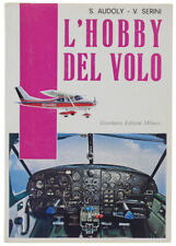 Hobby del volo. usato  Villarbasse