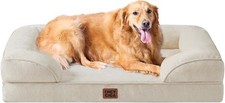 Eheyciga cuccia cane usato  Brindisi