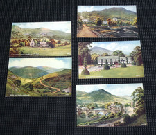 Vintage llangollen valentine for sale  ALCESTER