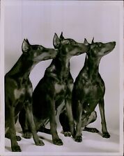 Lg797 original photo for sale  Dixon