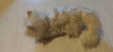 Furreal katze tiger gebraucht kaufen  Mönchengladbach