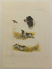 Lithographie originale boris d'occasion  Paris V