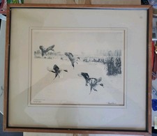 1934 richard bishop for sale  Lupton