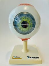Scientific medical eyeball for sale  TAUNTON